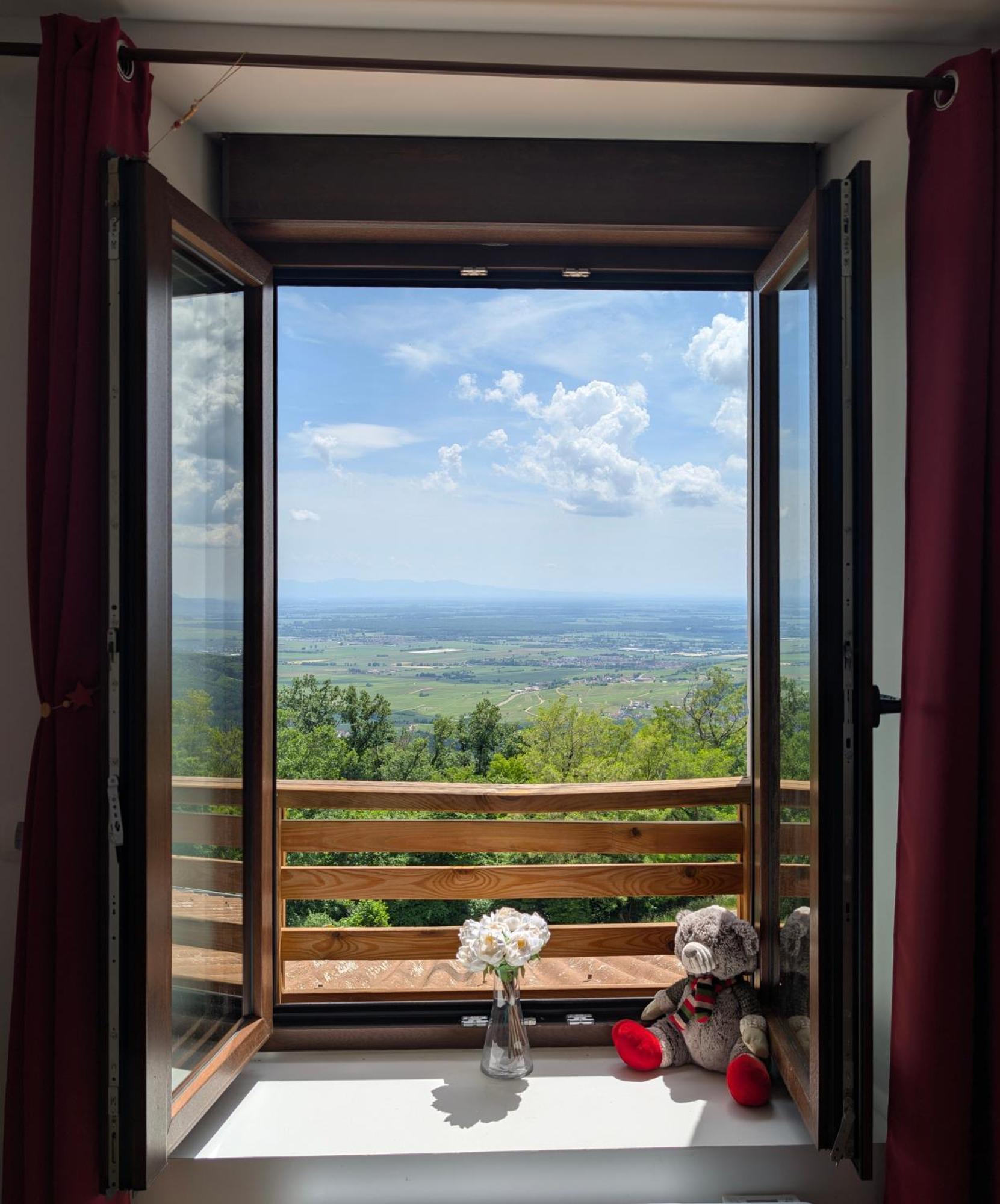 Domaine Du Haut-Koenigsbourg Оршвиллер Экстерьер фото